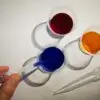 MALETA D’ARTISTA: Monstraç - Imatge 2