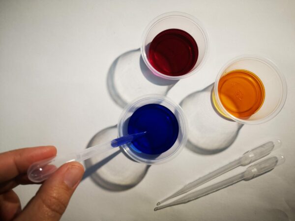 MALETA D’ARTISTA: Monstraç - Imatge 2