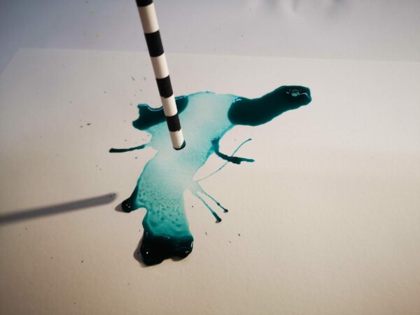 MALETA D’ARTISTA: Monstraç - Imatge 3