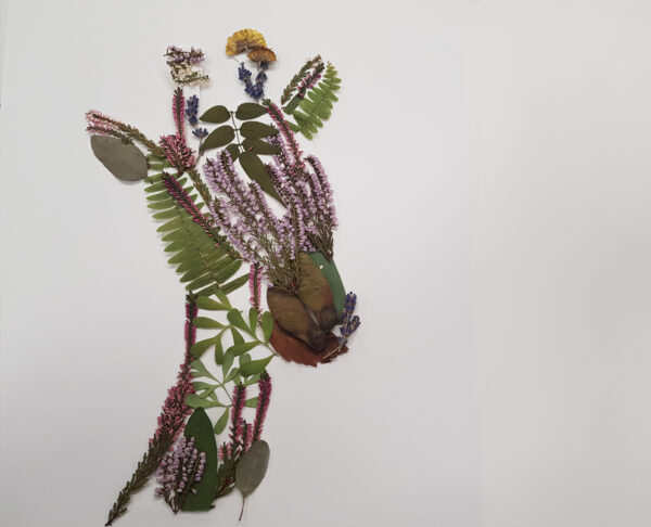 MALETA D’ARTISTA: Herbart - Imatge 5