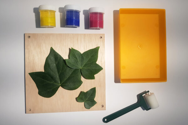 MALETA D’ARTISTA: Herbart - Imatge 2